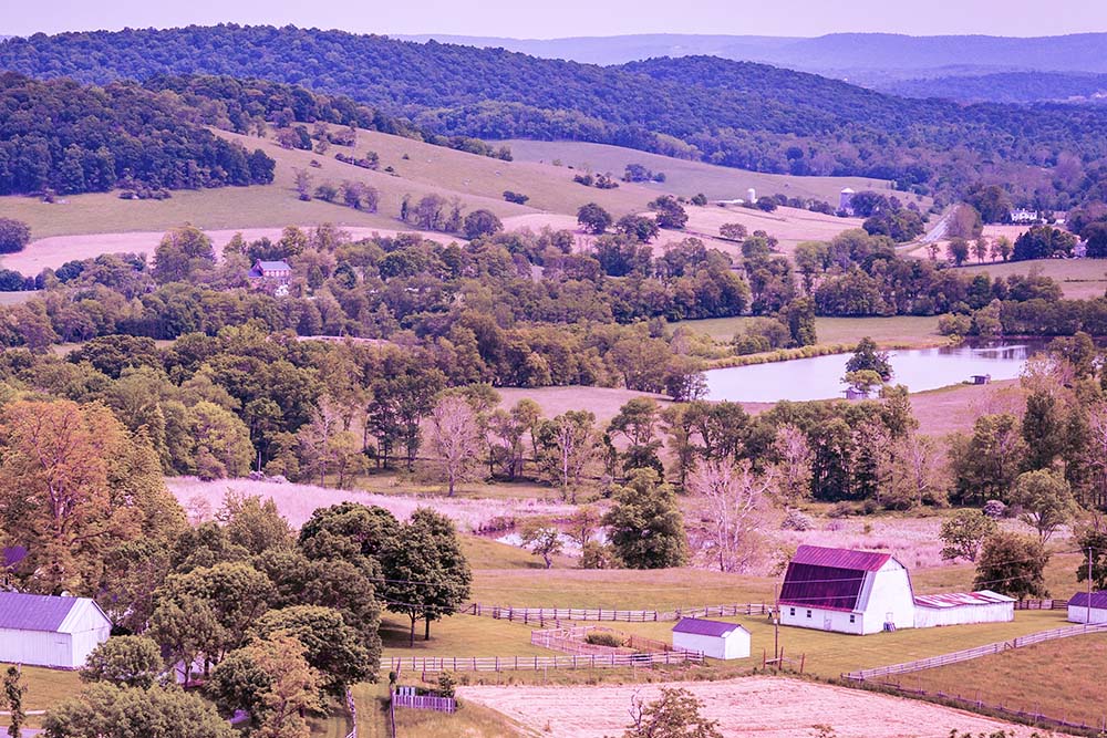 Hills of Forest, VA